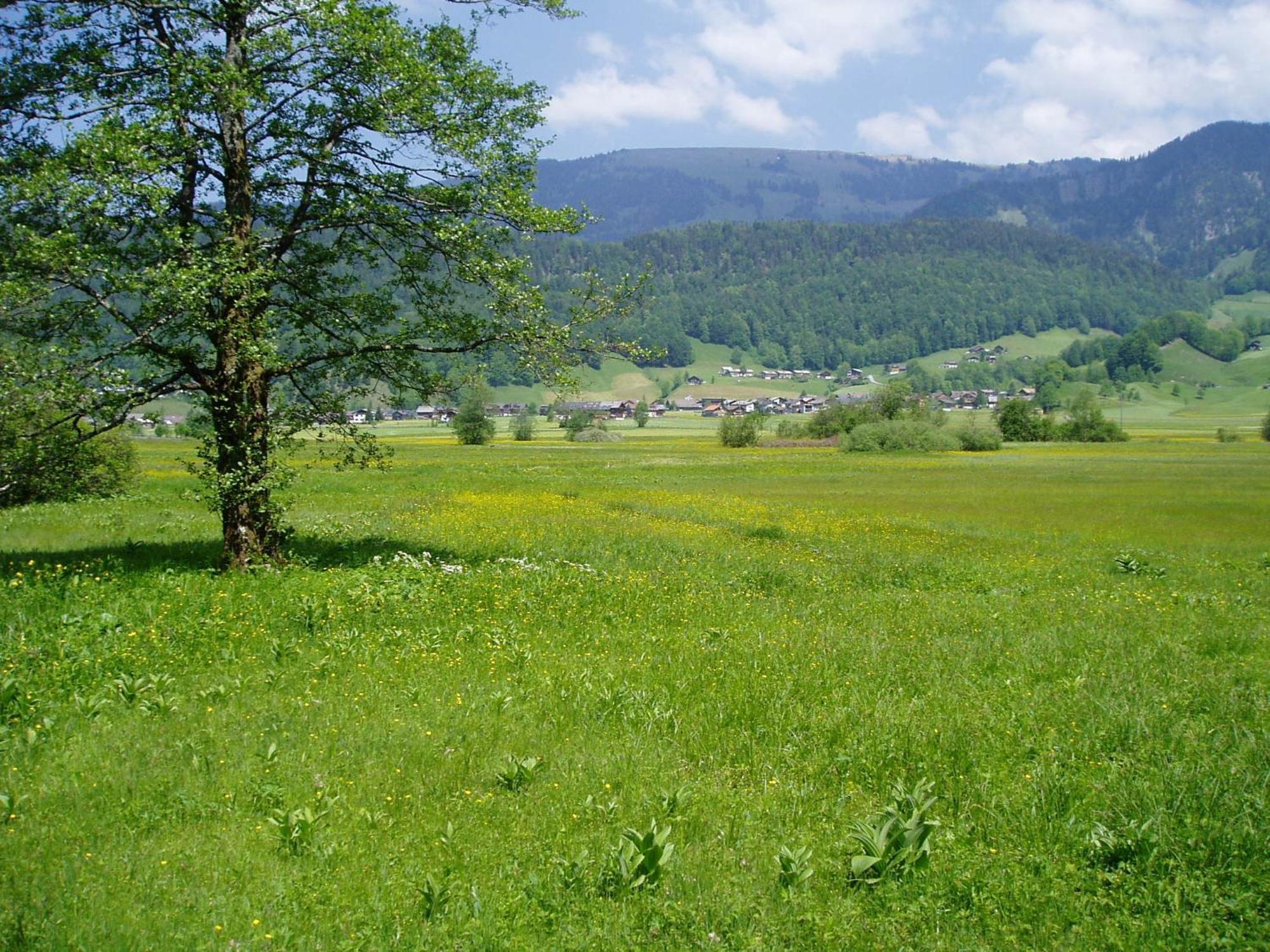 Gasthof Taube Bizau Exteriér fotografie